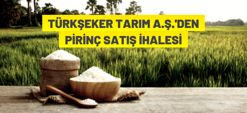 900.000 kg Osmancık Pirinç ve 100.000 kg Baldo Pirinç ihale ile satışa sunuluyor