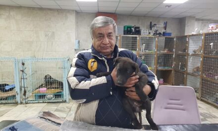 CAHİDE YARALARI SARABİLMEK İÇİN SEFERBER OLDU